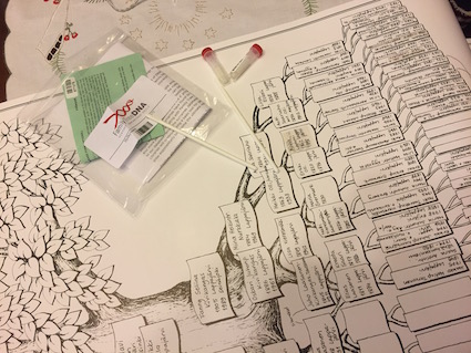 dna putkilot ja fannyn sukupuu