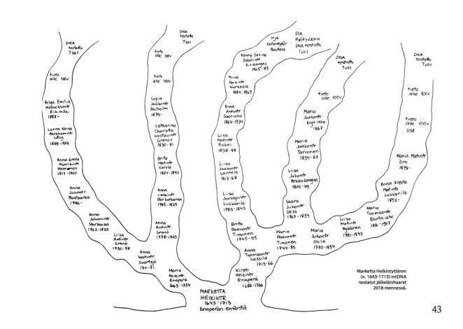 T1a1 Enaperästä lähtöisin